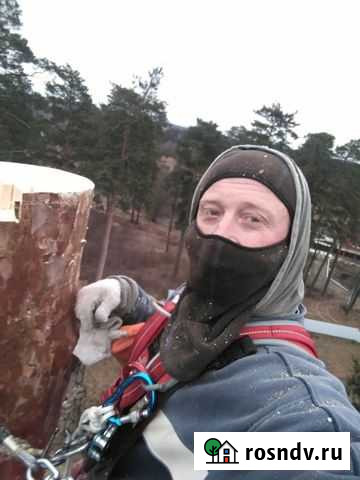 Удалить, удаление, спилить, дерево, кронирование Селятино - изображение 1