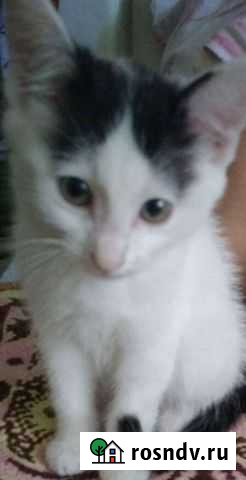 Уход за пожилыми людьми Улан-Удэ - изображение 1