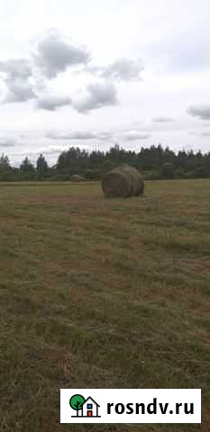 Сено Остров - изображение 1