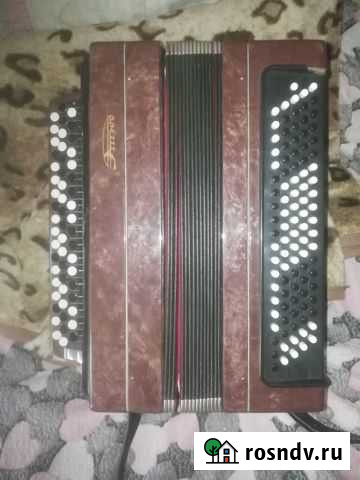 Баян Сосновый Бор - изображение 1