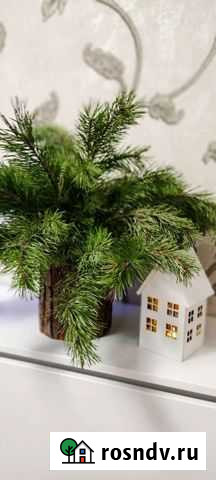 Ваза-пенек Оренбург - изображение 1