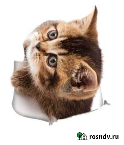 3D наклейка Новокуйбышевск - изображение 1