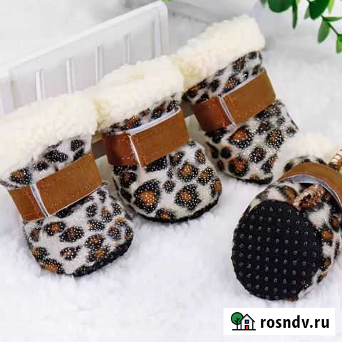 Одежда для собак Прокопьевск - изображение 1