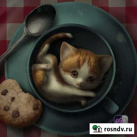 Передержка животных Кострома - изображение 1