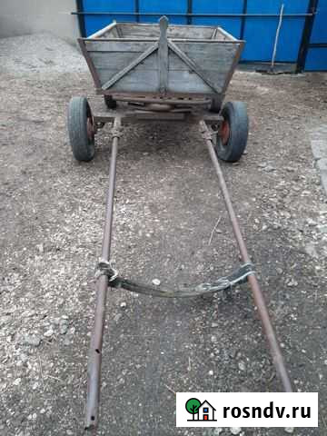 Животные Залукокоаже - изображение 1