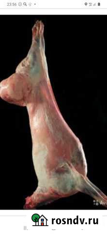 Мясо баранина Вологда - изображение 1