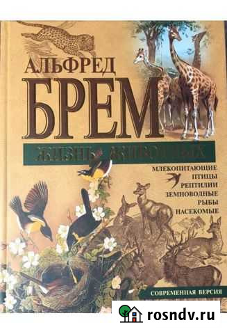 Альфред Брэм. Жизнь животных Киржач - изображение 1