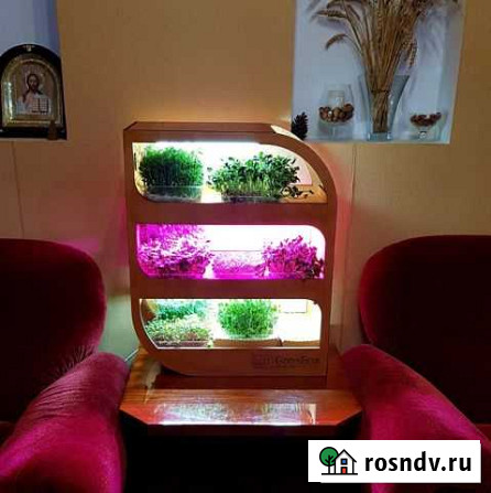 Микроферма для микрозелени и цветов GreensBox Симферополь - изображение 1