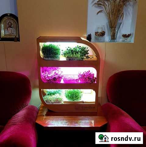 Микроферма для микрозелени и цветов GreensBox Симферополь - изображение 1