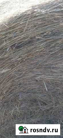 Сено Миллерово - изображение 1