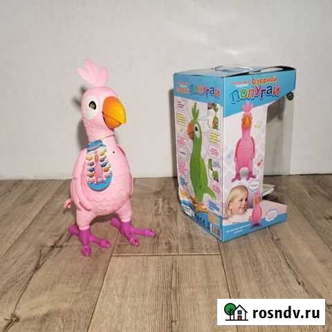 Умный попугай Курган - изображение 1