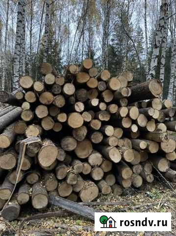 Лес кругляк липа Меленки - изображение 1