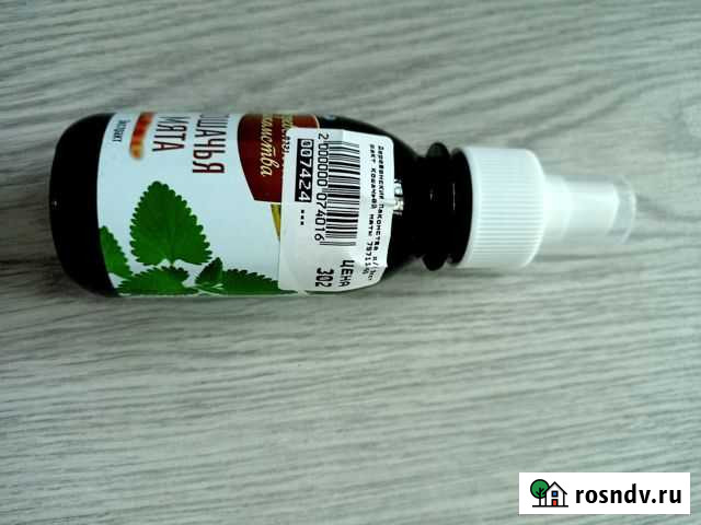 Кошачья мята Ухта - изображение 1