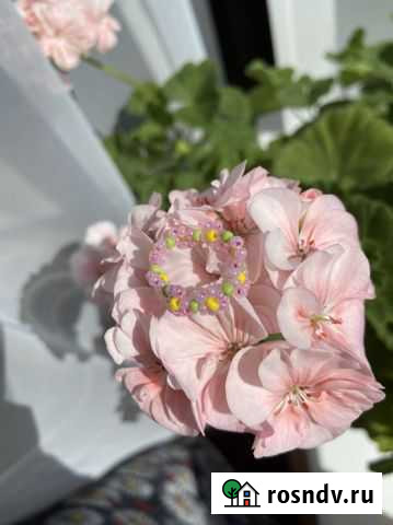 Кольца из бисера Чебоксары - изображение 1