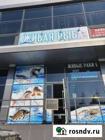 Продам готовый бизнес продуктовый магазин Новороссийск - изображение 1