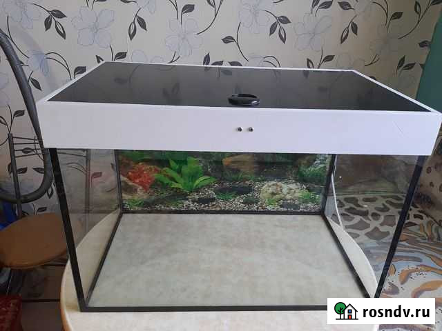 Аквариум Бобров - изображение 1