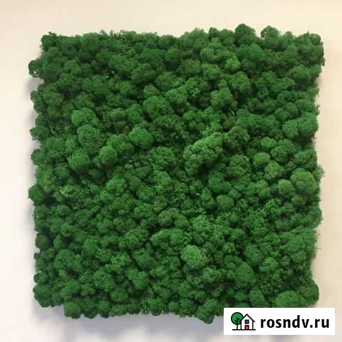 Плитка из стабилизированного мха Иваново - изображение 1