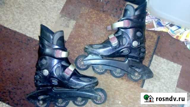 Ролики,36Р Петрозаводск - изображение 1