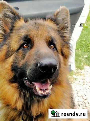 Вязка Сочи - изображение 1