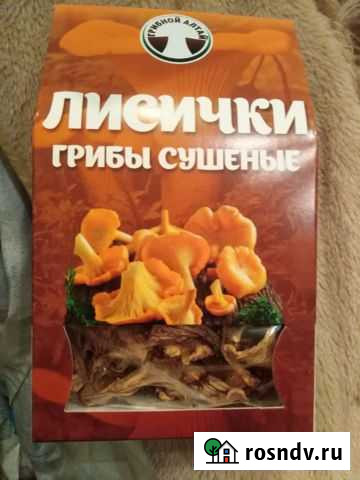Сушеные грибы лисички Ульяновск - изображение 1