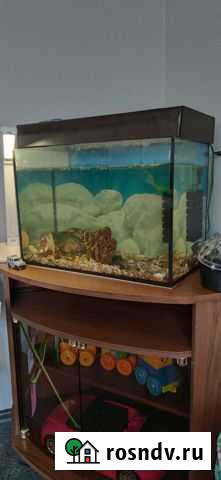 Аквариум Тюмень - изображение 1