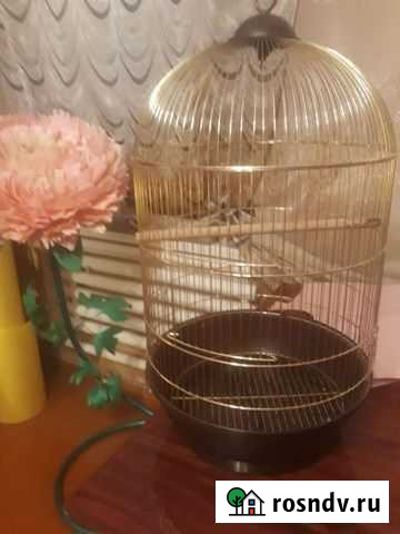 Клетка для попугая Таганрог - изображение 1