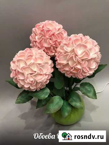 Розы,георгины,лилии Мичуринск - изображение 1