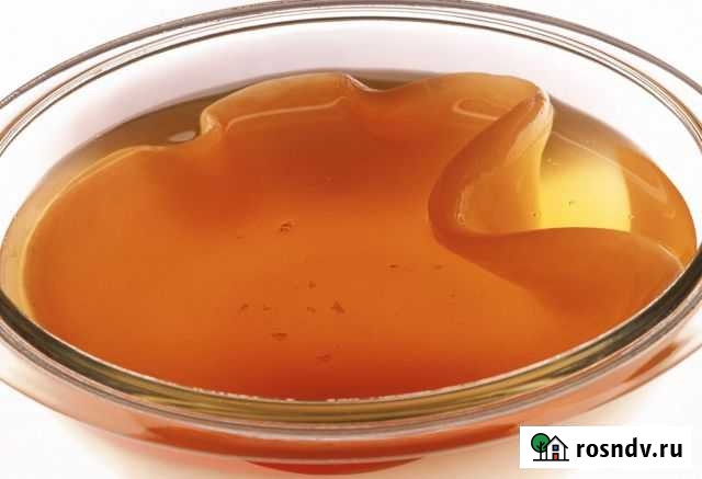 Гриб чайный Белгород - изображение 1