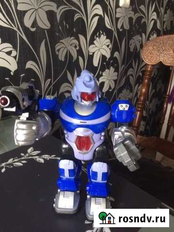 Робот Ярославль - изображение 1