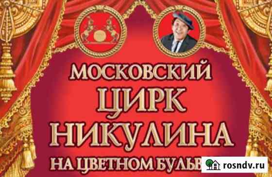 Цирк Никулина.программа Лабиринт Москва