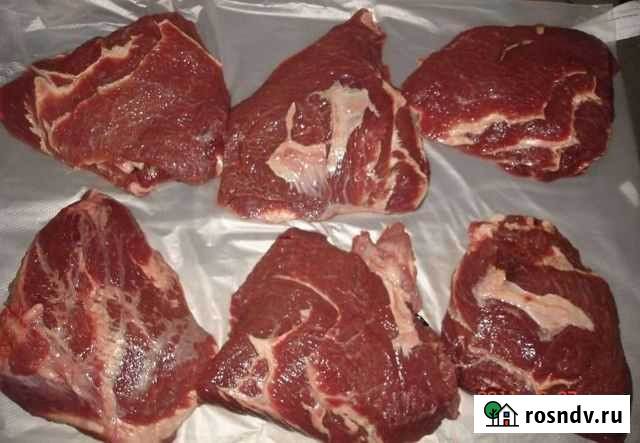 Продоется мясо говяжих голов Борисоглебск - изображение 1