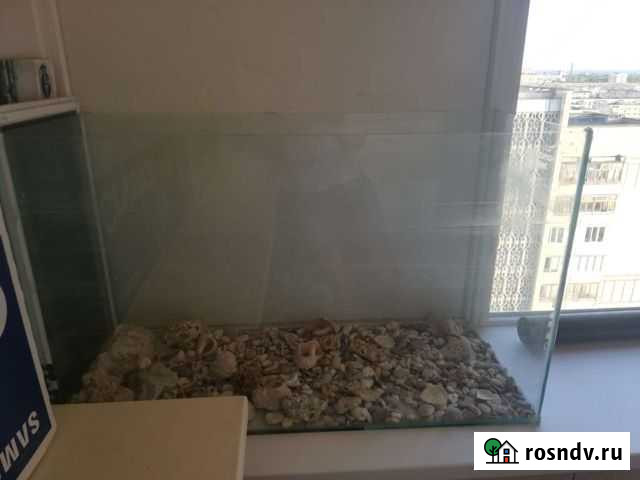 Террариум Евпатория - изображение 1