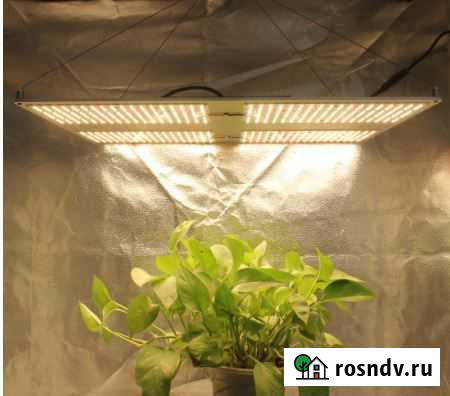 Фитолампа quantum board полный спектр 311 Вт Красноярск - изображение 1