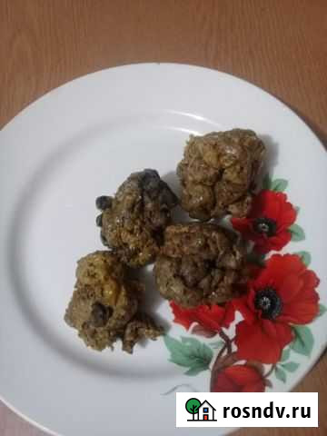 Пчелиный прополис Невинномысск - изображение 1