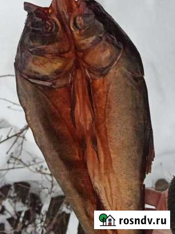 Копчёный толстолобик холодного копчения Киров - изображение 1