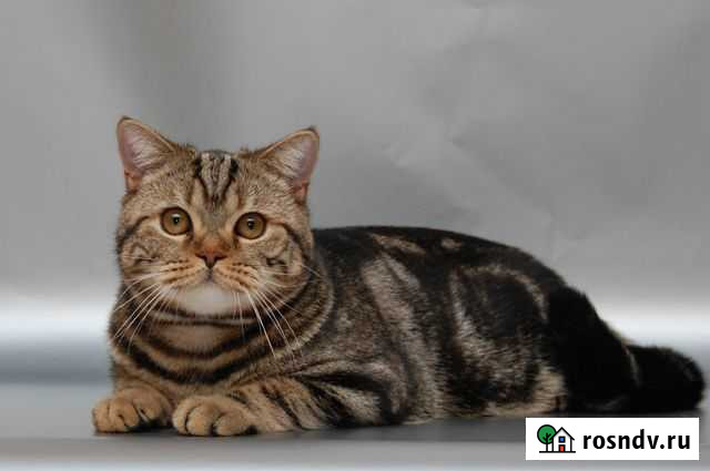 Вязка Чапаевск - изображение 1