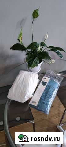 Простыни Икеа Len новые Москва - изображение 1