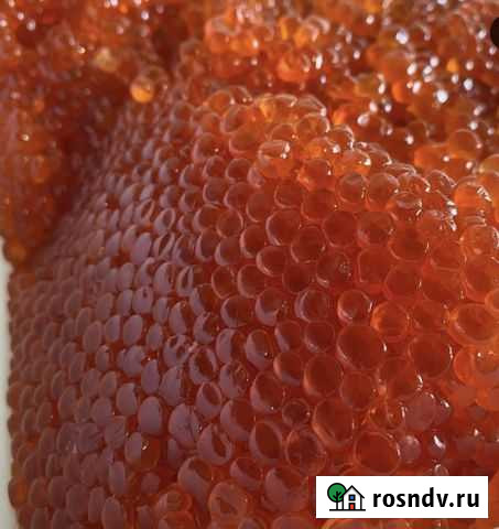Продам икру Комсомольск-на-Амуре - изображение 1