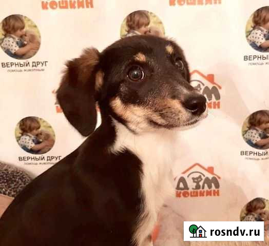 Ну возьмите меня К себе Тамбов - изображение 1