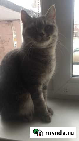 Вязка Альметьевск - изображение 1