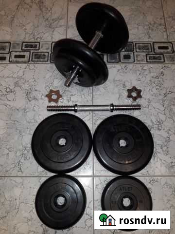 Гантели разборные по 16,5 кг диски barbell Гагарин - изображение 1