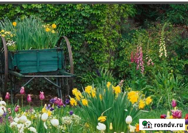 Плодородный грунт отличного качества с доставкой Поварово - изображение 1