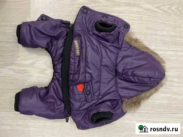 Одежда для собак Саранск - изображение 1