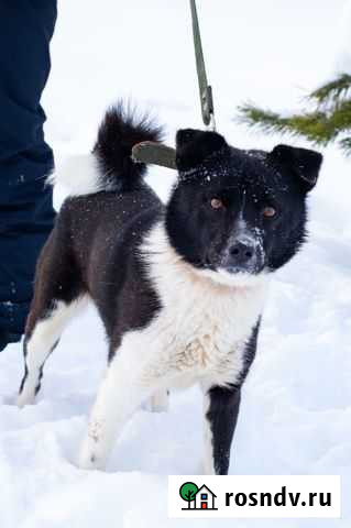 Малыш «Плакса» Вахруши - изображение 1