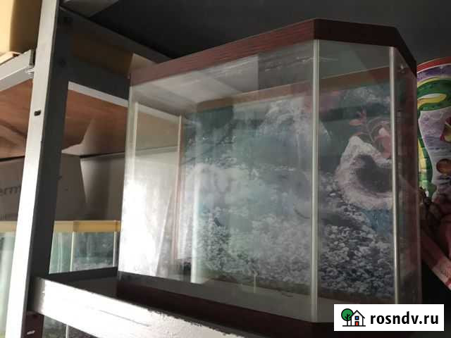 Аквариум Братск - изображение 1