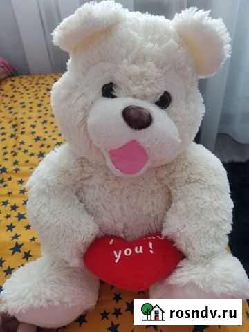 Медведь Будённовск - изображение 1