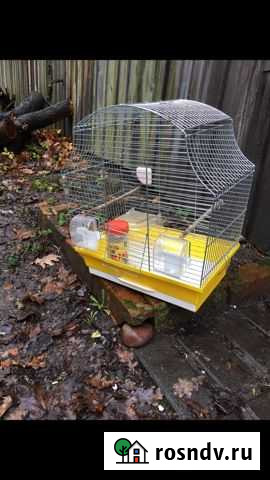 Клетка Зеленоградск - изображение 1