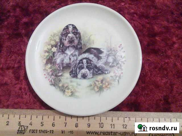 Фарфоровая декоративная тарелочка, собака Крестцы - изображение 1