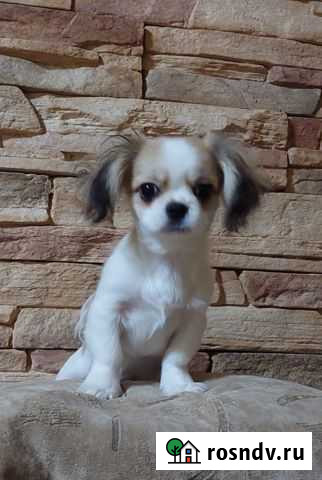 Мальчик Анапа - изображение 1