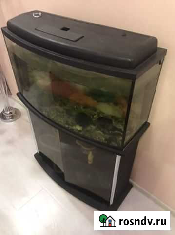 Аквариум 100л Свердловский - изображение 1